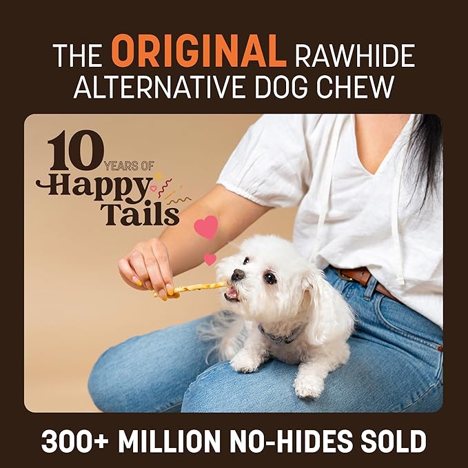 Earth Animal No-Hide Seasonal Stix Pumpkin Spice Recipe Natural Rawhide Alternative Dog & Cat Chews - 20 Count Value Pack