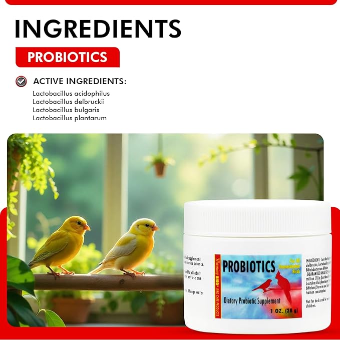 Morning Bird Probiotics for Birds 1 oz– Digestive Health Supplement with Supports Gut Balance, Nutrient Absorption & Immune Support – Easy Mix Powder Supplement for All Bird Species