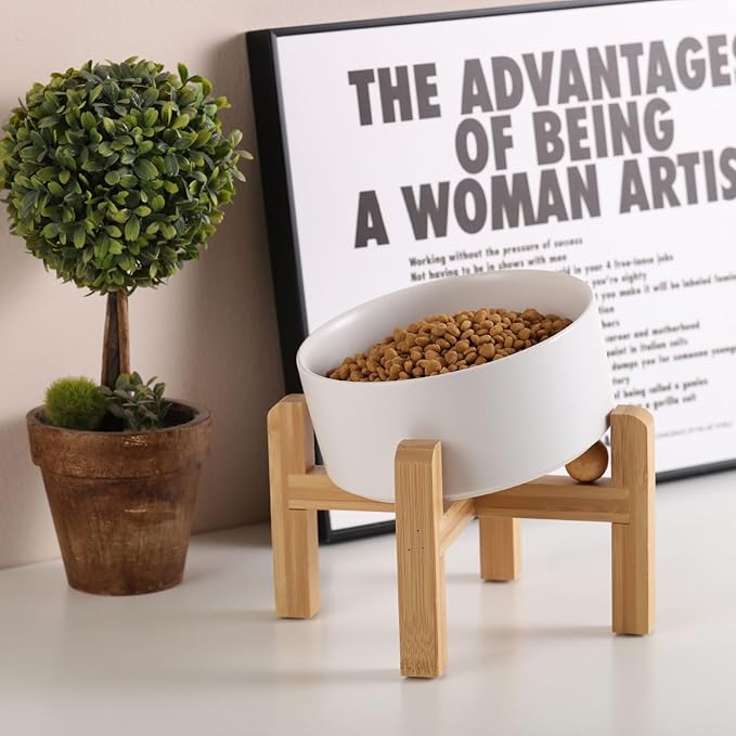 Petygooing White Elevated/Raised 15° Slanted Ceramic Dog Bowl for Large and Medium Breeds, Pet Anti Slip Feeding Bowl,Food Water Dish with Stand for Large and Medium Dogs (60 OZ / 7.6 Cup)