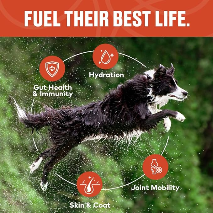 Beef, Chicken & Mobility Bone Broth Concentrate for Dogs - Collagen Protein, Amino Acids, Glucosamine for Digestion, Skin & Coat, Immune System, & Joint Support, Human Grade (3pk, 60 Servings)