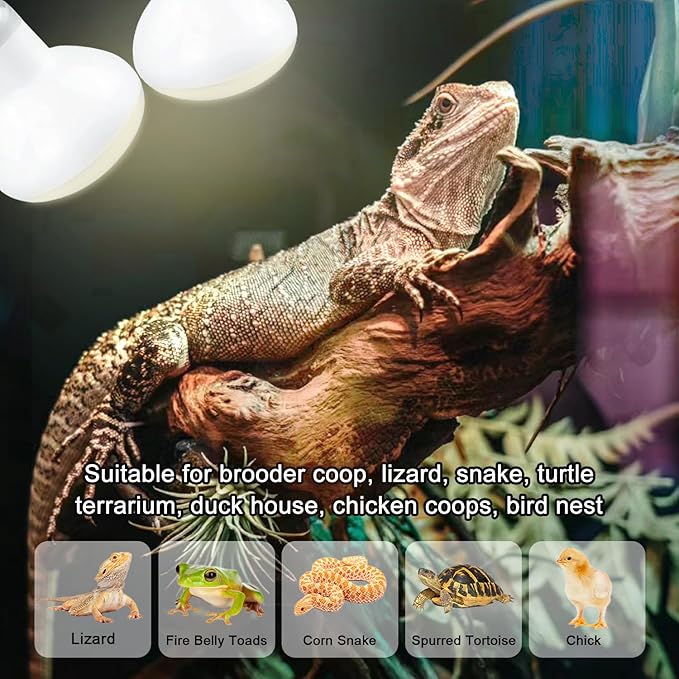 Reptile Heat Lamp 50W, 2 Pack Daylight UVA Basking Light Bulbs with E26 Base for Lizards, Turtles, Snakes and Amphibians