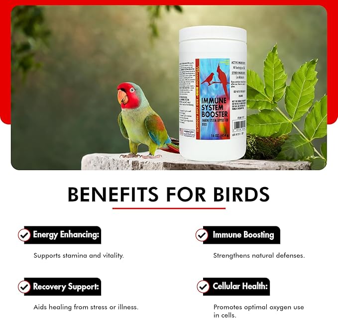 Morning Bird Immune System Booster 16 Oz - Energy Supplement for Birds – Natural Amino Acid Powder – Boosts Stamina, Cellular Health & Oxygen Use – Vitamin Powder for All Bird Species