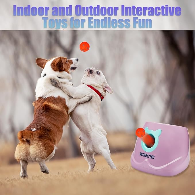 Automatic Dog Ball Launcher, Dog Ball Fetch Machine with Remote Control, Auto Ball Thrower for Small Dogs and Puppies, Pet Self Playing Toys, Indoor and Outdoor Interactive Toys with 10 Balls