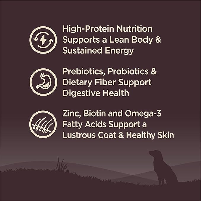 Wellness CORE Grain-Free High-Protein Small Breed Dry Dog Food, Natural Ingredients, Made in USA with Real Meat (Adult, Turkey, 4-Pound Bag)