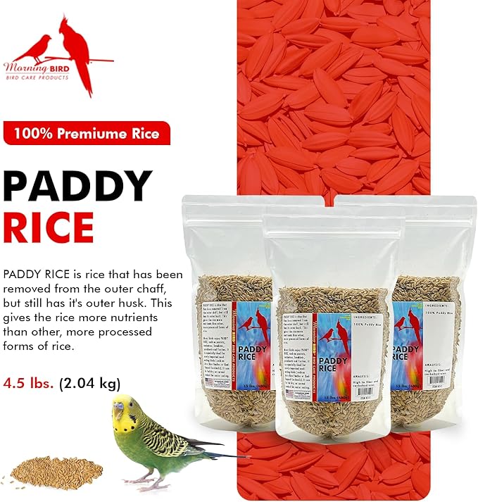 Morning Bird Paddy Rice Bird Seed for Optimal Health & Nutritious Pet Bird Food – Supports Feathers & Immunity – Ideal for All Seed Eating Birds. 4.5 lbs (3-Pack, 1.5 lbs Each)