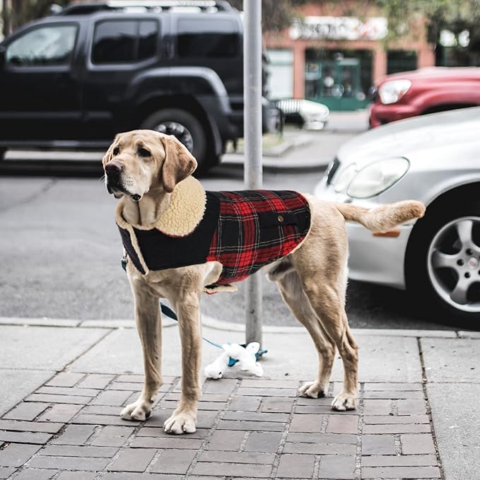 Winter Coat for Small and Medium Dogs, Puppy Plaid Jacket, Cotton Coat for Cold Weather, Windproof Warm Dog Garments, Pet Thickened Outfits Indoor Outdoor, Red L