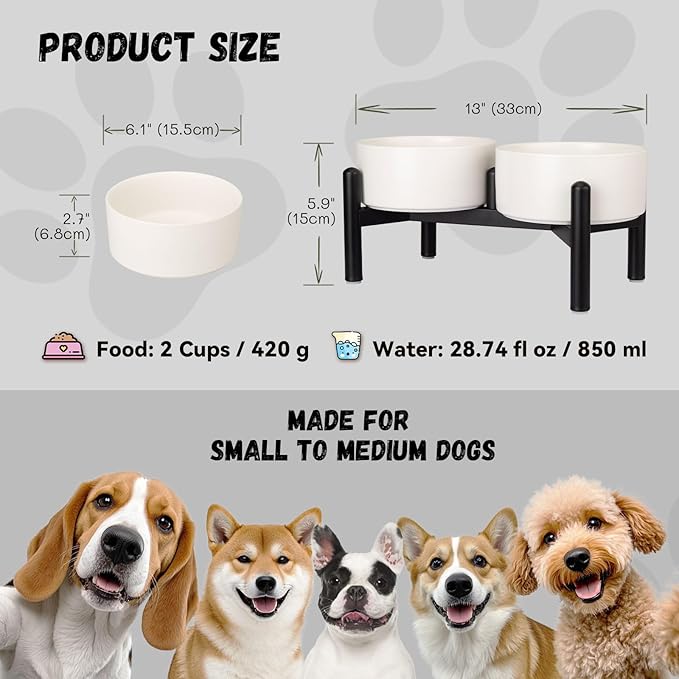 Raised Ceramic Dog Bowl Set - Elevated Double Dishes with Stainless Steel Stand - Food and Water Bowls for Small to Medium Dogs - Each Holds 2 Cups (28.75 fl oz) - White