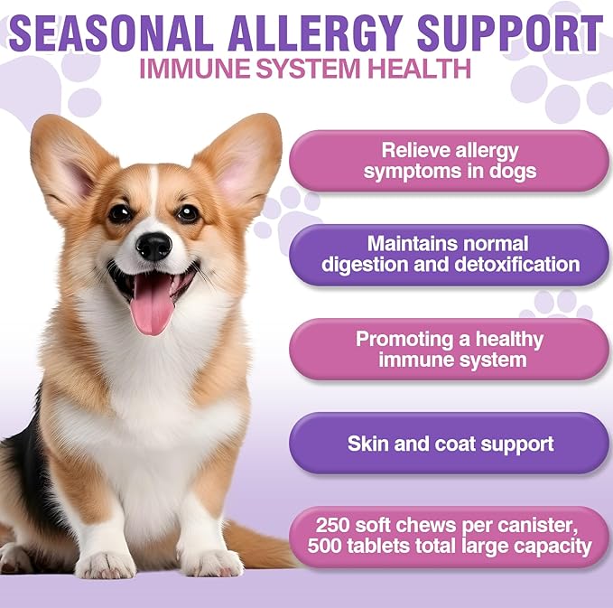Dog Allergy Chews 500PCs, Dog Allergy and Itching Skin Relief Anti Itch Aller Immune Bites for Dogs Itching Licking Paws Treatment Relief Itchy Chew Probiotics Vitamins for Skin and Coat Allergies