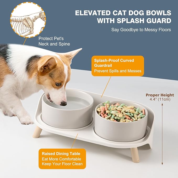 Elevated Ceramic Dog Bowl Set - Double Dog Feeding Bowls with Stand Splash Proof - Raised Dishes for Food and Water - Ideal for Small to Medium Dogs - 2 x 850 ml - 28.74 oz