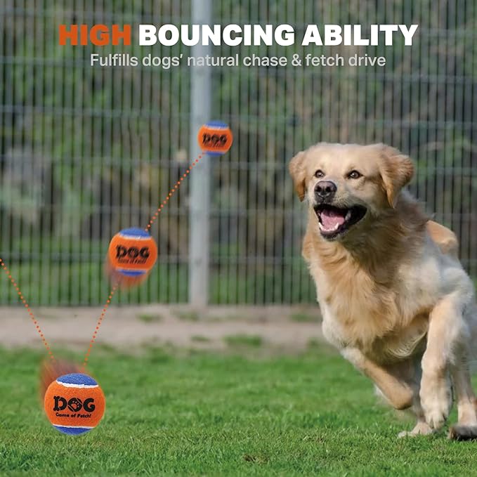 AMA SPORT Squeaky Tennis Balls for Dogs 2.0" Small Dog Tennis Balls for Throwing and Fetching Dog Toys for Training, Exercise, High Bouncing 6 Pack (Multicolor A)