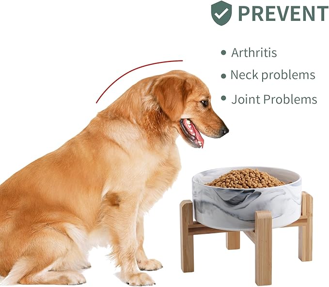 Elevated/Raised Dog Bowl Ceramic for Small Medium Sized Breed,Dog Food Water Bowl with Stand,6 in 3.6 Cups Non Slip Heavy Weighted Dog Dish Marble Grey