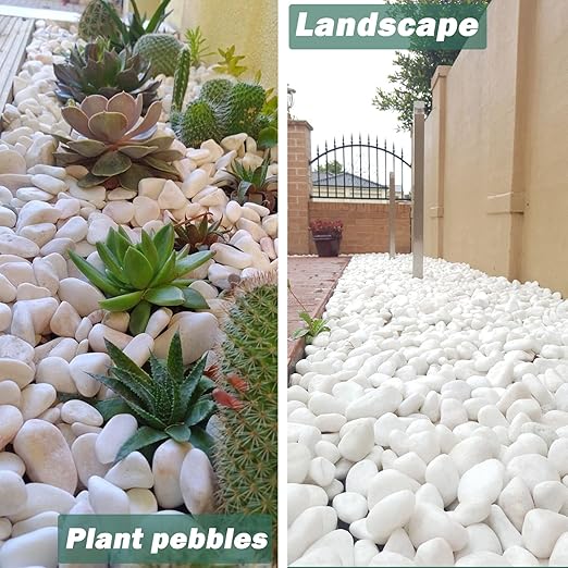 17.6 Lbs Natural River Rocks for Plants 1''-2'' Large Landscaping Garden Stones White Aquarium Gravel Decorative Pebbles for Indoor Outdoor Planters, Big Terrarium Rocks in Bulk, Home Decor