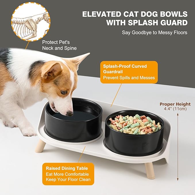Elevated Ceramic Dog Bowl Set - Double Dog Feeding Bowls with Stand Splash Proof - Raised Dishes for Food and Water - Ideal for Small to Medium Dogs - 2 x 850 ml - 28.74 oz