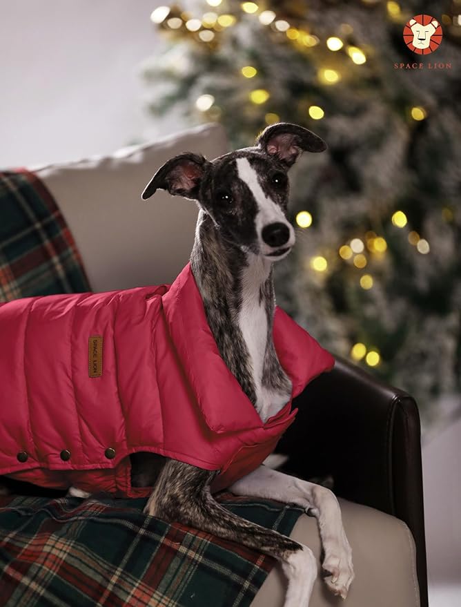 SPACE LION Puffer Jacket, Down Winter Coat, Durable Outdoor Coat for Cold and Windy Conditions, Waterproof, Windproof, Lightweight Jacket, Adjustable Fit for Small, Medium Dog(Red,M)