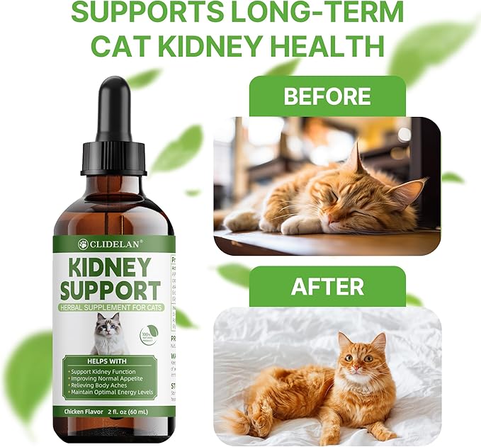 Cat Kidney Support – Kidney Support Supplement for Cats Feline Health, Fluid Balance & Appetite, Veterinarian-Formulated Herbal Supplement 2 fl oz–for Normal Kidney Cleanse and Essential Kidney Care