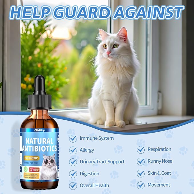 Natural Antibiotics for Cats, Cat Antibiotics Nutritional Supplements for Skin Issue, Itch Relief, Natural Herbal Supports for Cats All Breeds and Ages-Chicken Flavor | 2 fl oz