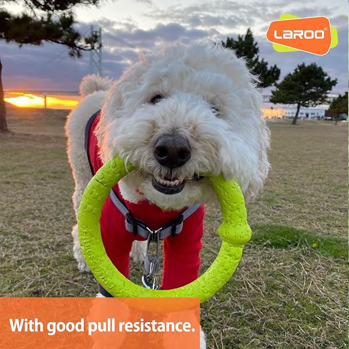 LaRoo Dog Flying Ring Toys, Floating Flying Disc ABS Durable Interactive Chew Toys for Training Outdoor Playing Puppy Medium Large Dogs (Small Green/18cm)