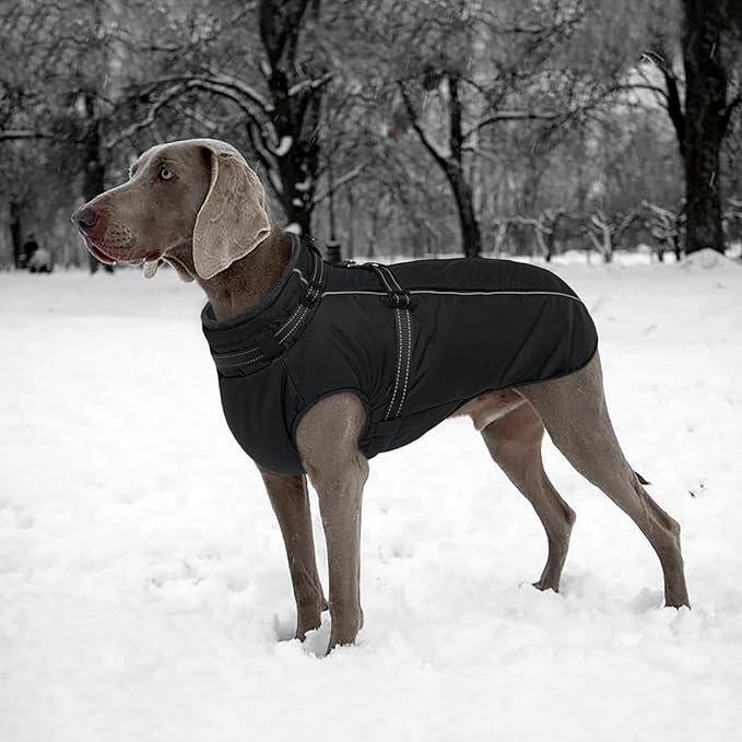 Lelepet Waterproof Dog Jacket with Harness Built in Warm Dog Winter Coat, Reflective Jacket Fleece Jacket, Dogs Coats for Small Dogs, Cozy Thermal Pet Snowsuit for Cold Weather, Shih Tzu, Black, S