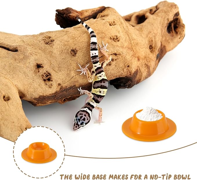 2 Pack Gecko Calcium Dish - Food and Water Bowl for Leopard Geckos, Small Reptiles
