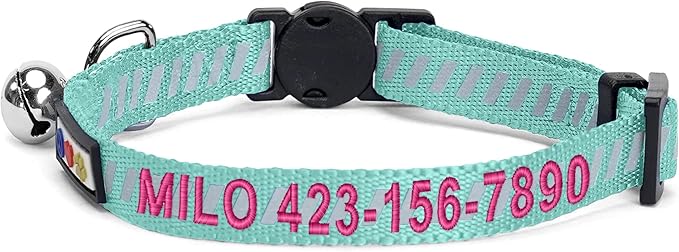 Pawtitas Personalized Cat Collar with Breakaway Safety Release Buckle Adjustable Length