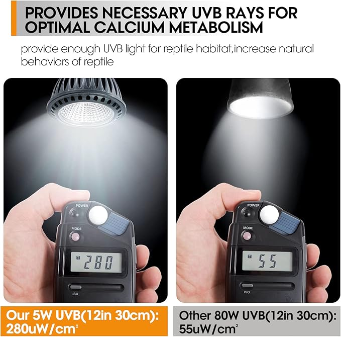 Premium High-Intensity UVB Reptile Light for Optimal Calcium Metabolism,5-Watt 10.0 Desert UVB Light Ideal for Desert-Dwelling Reptiles Bearded Dragons Tortoises
