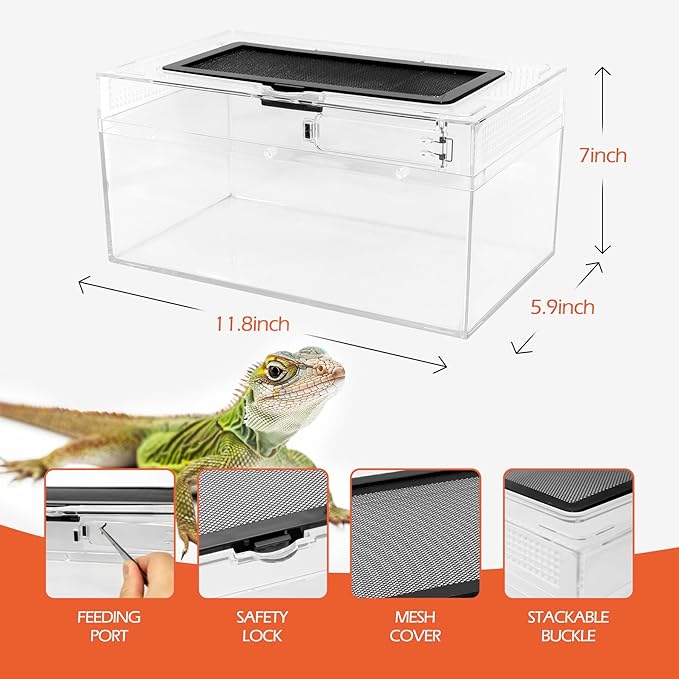 AZV Reptile PC Tank Terrarium Amphibian Turtle Tank Starter Kit Habitat Enclosure Cage 7x11x5 inch for breeding Lizards,Turtles,Corn Snakes,Chameleons,Frog,Crested Leopard Geckos,Spider,Hermit Crab