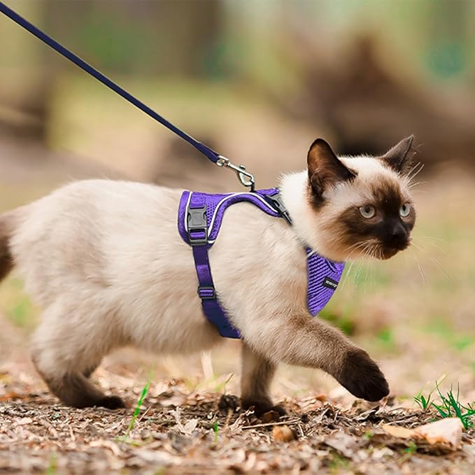 Cat Harness and Leash Set for Walking Escape Proof, Improved Four Place Adjustable Cat Car Harness, Soft Kittens Vest with Reflective Strip for Cats, Comfortable Outdoor Vest, Purple, XS