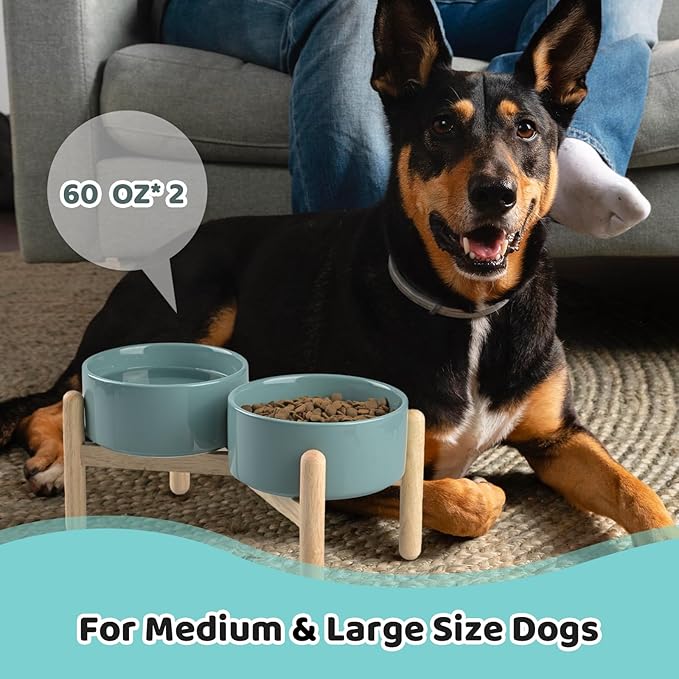 SPUNKYJUNKY Ceramics Elevated Dog Feeding Stand with Wooden Base - Double 60oz Bowls for Medium Large Dogs (Dark Green)