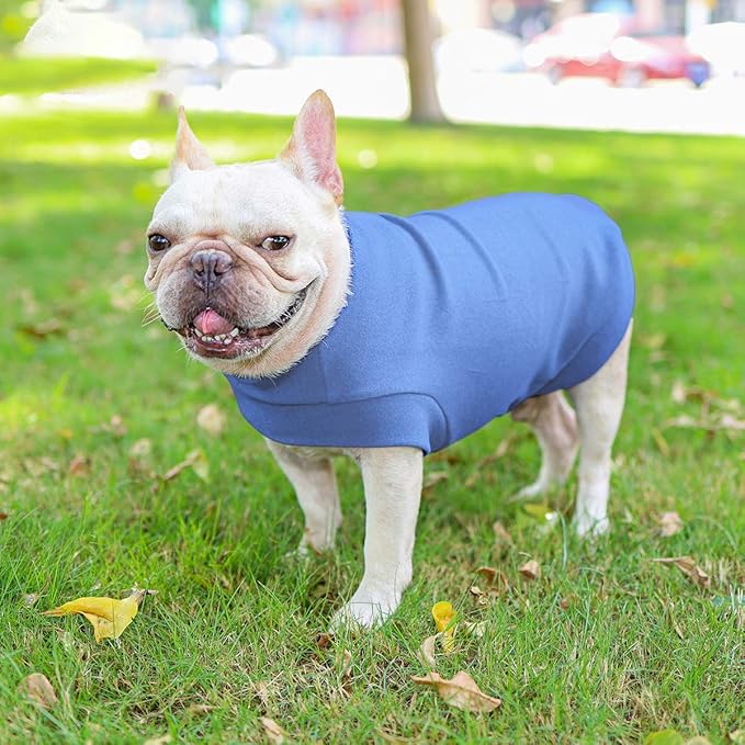 Small Dogs Fleece Dog Sweatshirt - Cold Weather Hoodies Spring Soft Vest Thickening Warm Cat Sweater Puppy Clothes Sweater Winter Sweatshirt Pet Pajamas for Small Dog Cat Puppy (Large, Sky Blue)