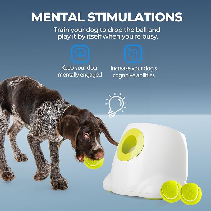 ALL FOR PAWS Automatic Dog Ball Launcher Maxi, Interactive Ball Thrower Dog Toys Includes 6pcs Tennis Balls for Large Dogs