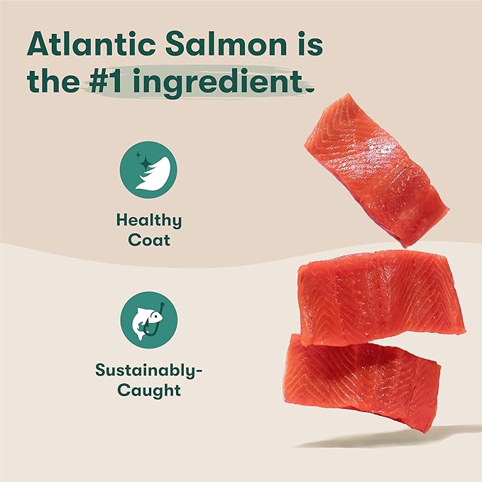 Jinx Premium Grain-Free Dry Dog Food, for All Lifestages - Real Salmon, Sweet Potato & Carrot Kibble with Superfoods for Immune Support & Probiotics for Digestive Support - No Fillers - 30lb