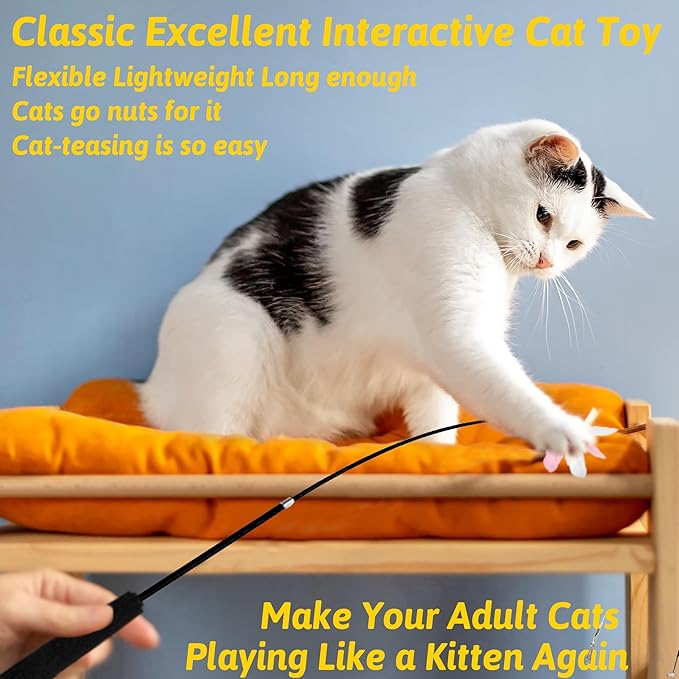 9 in 1 Cat Scratch Pad Cat Toys Set, Cat Scratcher Cardboard with Catnip, Retractable Wand Toy and Feather Toys, Natural Silvervine Sticks, Cat Toy Pointer