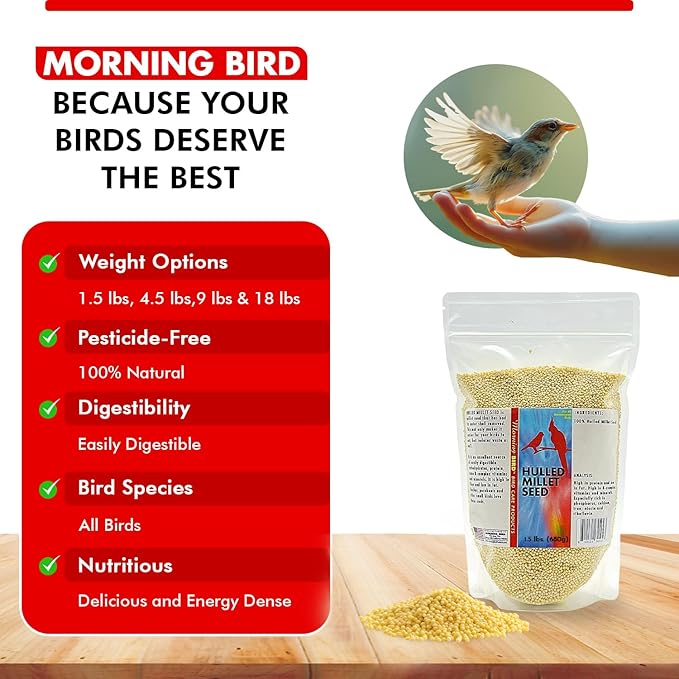 Morning Bird Hulled Millet 1.5 lb – Nutritious Hulled Millet Seed, Easily Digestible with High Fiber, Rich in Vitamins and Supplements for Birds, Ideal Bird Feed for All Bird Types.