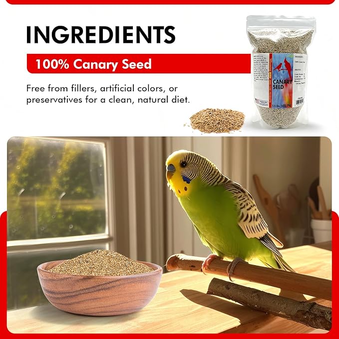 Morning Bird Canary Seed – Nutritional Rich in Vitamins and Supplements for Birds – Ideal for Healthy Feathers and Strong Bones Seed for All Birds Type 1.5 lbs