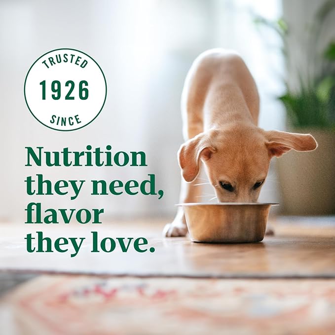 Nutro Ultra High Protein Dry Puppy Food, Trio of Proteins from Chicken, Lamb and Salmon, 22 lb Bag