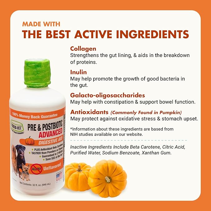 Pre & PostBiotic Support for Dogs – Digestive Upset, Stool Quality & Sensitive Stomach Support – Easy Liquid Formula for Picky Eaters