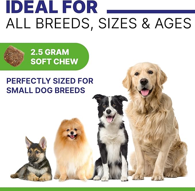 Advanced Hemp Hip & Joint Supplement for Dogs - Glucosamine for Dogs - Dog Joint Pain Relief Treats - Chondroitin Turmeric MSM Hemp Oil - Hemp Treats for Joint Health - Senior Mobility Support Chew