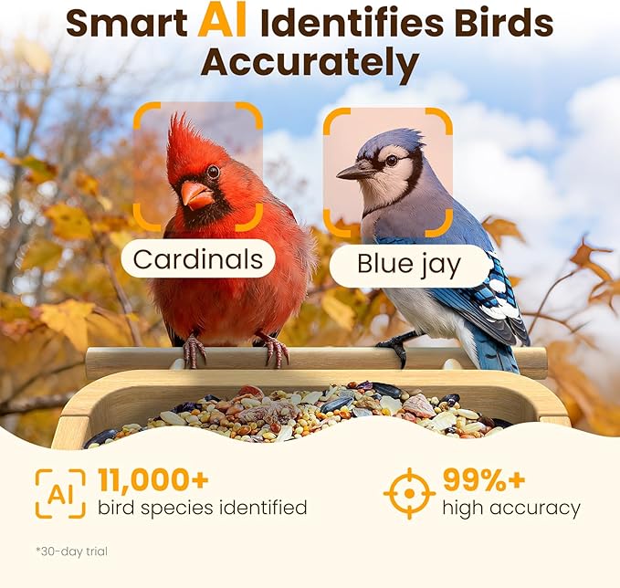 Smart Bird Feeder with Camera,Premium Bamboo Birdfeeder,2.5K UHD Bird Camera AI Identifies, Real-time Bird's Videos & Pictures, Solar Powered Wireless Outdoor, Ideal Present for Parent