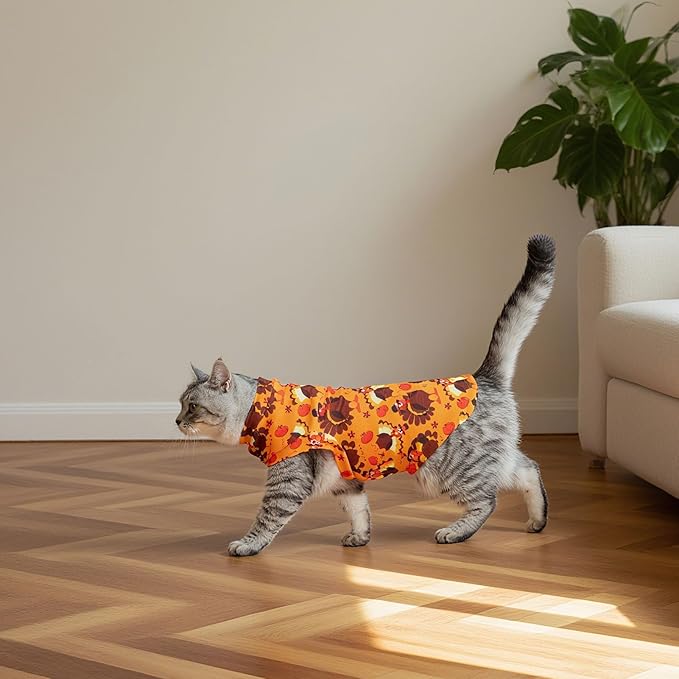 EXPAWLORER Thanksgiving Cat Sweater - Sweaters for Cats Only Soft Warm Pet Clothes, Fall and Winter Turkey Coat Pullover Design, Fleece Sweatshirt Clothing Also for Puppy Small Dogs, Small