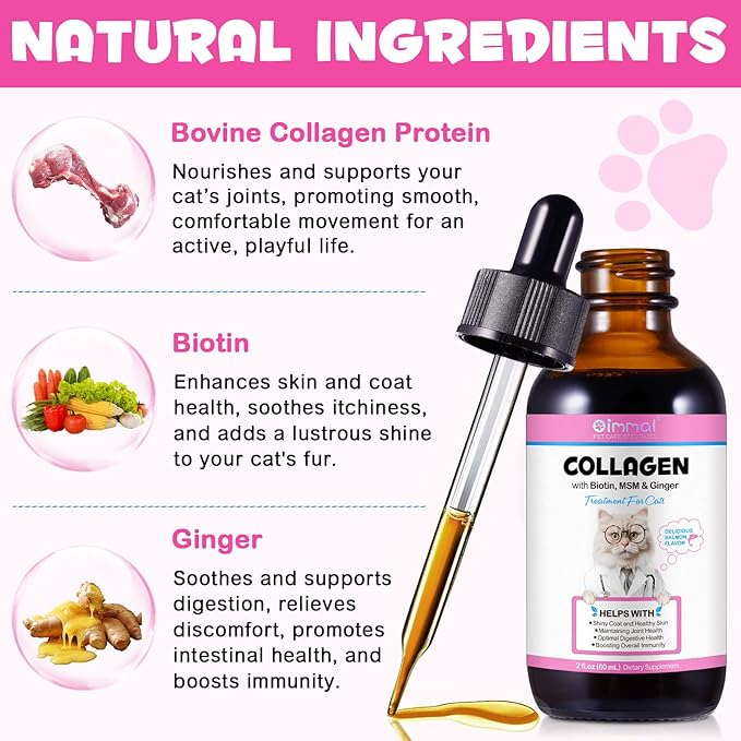 Collagen for Cats, Cat Collagen Liquid Drops for Cats with Biotin, MSM & Ginger Digestive & Immunity Support, Itch Relief, Skin & Coat and Joint Health, Cat Supplement 60ml 