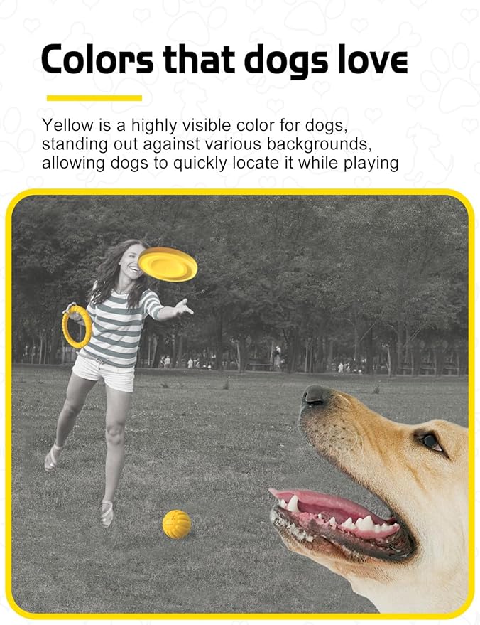 Dog Flying Disc Toy, Soft Indestructible Dogs Flying Disc Pack ,for Aggressive chewers Medium Large Dog,Dog Beach Essentials Water Pool Float Toys (Flying Disc Set 1 Box)