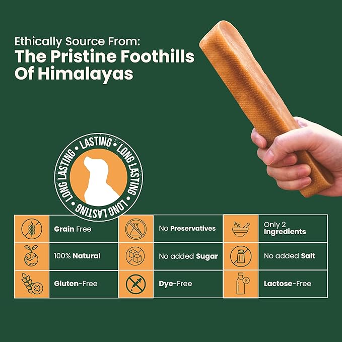 KATHMANDU'S - Authentic Himalayan Cheese Dog Chews - Large, 1-Count - for Improved Dental Hygiene & Protein-Rich Nutrition, No Preservatives