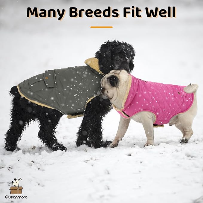 Queenmore Dog Winter Coat - Fleece Jacket, Waterproof Cold Weather Clothes, Thick Warm Cotton Padding, Easy On Storage Pockets (Pink, Large)