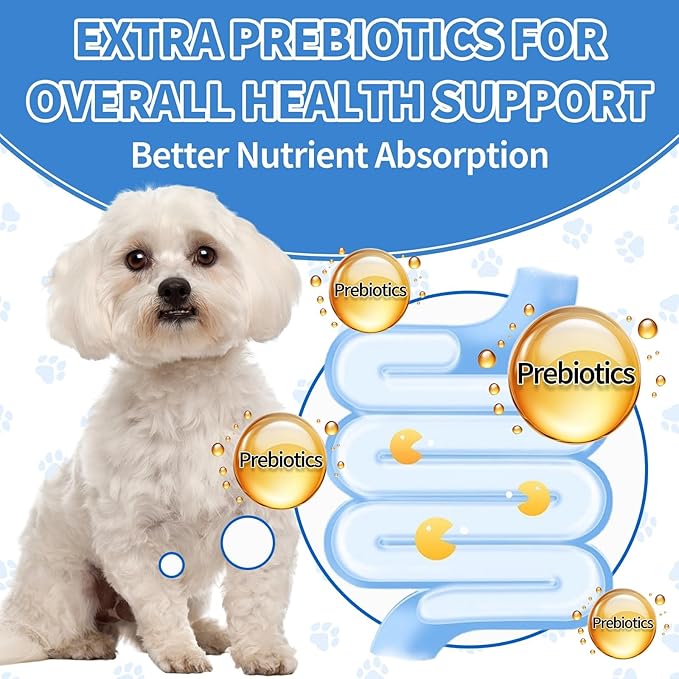 Natural Antibiotics for Dogs, Herbal Dog Antibiotics Supplement in Drops with Prebiotics, Natural Herbal Supports for Dogs Puppy All Breeds and Ages-Chicken Flavor | 2 fl oz