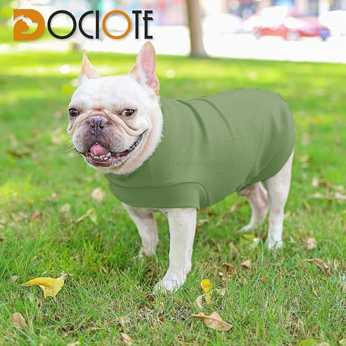 Small Dogs Fleece Dog Sweatshirt - Cold Weather Hoodies Spring Soft Vest Thickening Warm Cat Sweater Puppy Clothes Sweater Winter Sweatshirt Pet Pajamas for Small Dog Cat Puppy (Large, Green)