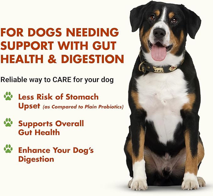 Pre & PostBiotic Support for Dogs – Digestive Upset, Stool Quality & Sensitive Stomach Support – Easy Liquid Formula for Picky Eaters