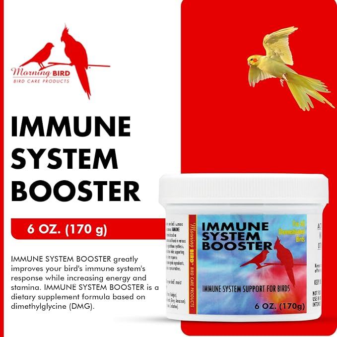 Morning Bird Immune System Booster 6 Oz - Energy Supplement for Birds – Natural Amino Acid Powder – Boosts Stamina, Cellular Health & Oxygen Use – Vitamin Powder for All Bird Species