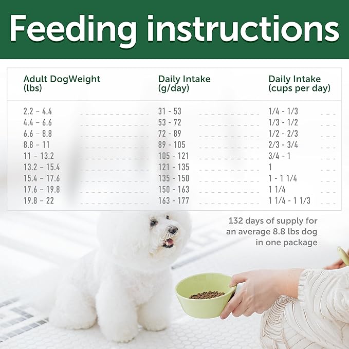 Nature's Protection Superior Care White Dogs Grain-Free Dry Dog Food - High Protein, Tear Stain Dog Food for Small & Mini Breeds Light Coated Adult Dogs, Fresh Pet Meal, Lamb, 22 lb
