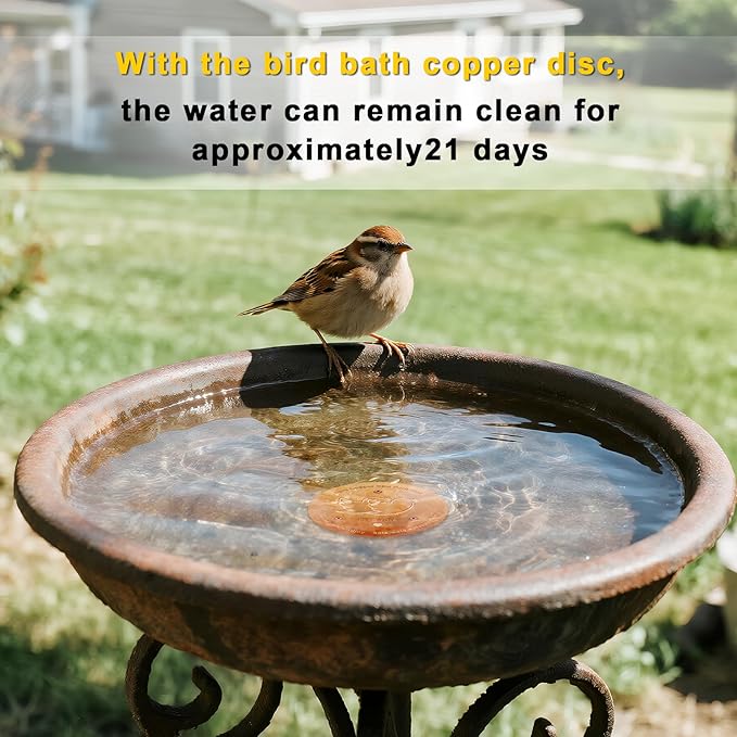 Bird Bath Cleaner Disk: 99.99% Pure Copper Water Purifier, 0.6mm Reinforced & 3-Point Support, All-Season Universal Fit for Outdoor Baths | Gift a Bird Bath Cleaning Guide