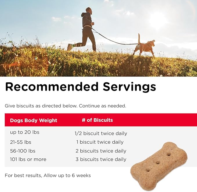 Nutri-Vet Hip & Joint Biscuits for Dogs, Dog Hip & Joint Supplement, Functional Treat, Small Sized Biscuit, 166mg Glucosamine, 16 oz Bag (Pack of 2)